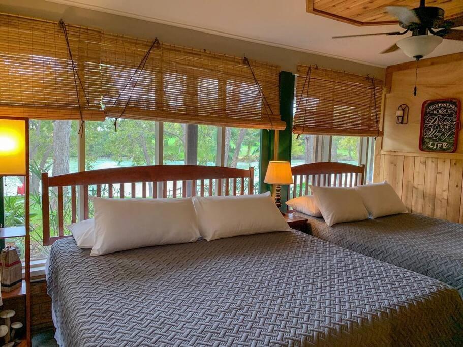 סגווין The River Haven - Sleeps 32 - On Guadalupe River מראה חיצוני תמונה