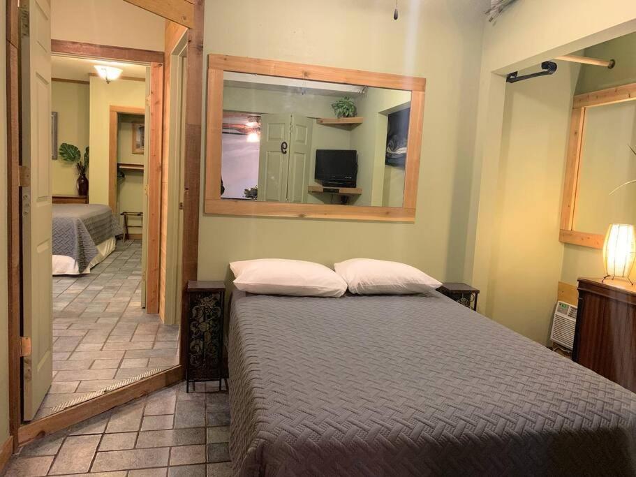 סגווין The River Haven - Sleeps 32 - On Guadalupe River מראה חיצוני תמונה