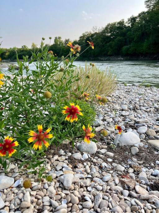 סגווין The River Haven - Sleeps 32 - On Guadalupe River מראה חיצוני תמונה
