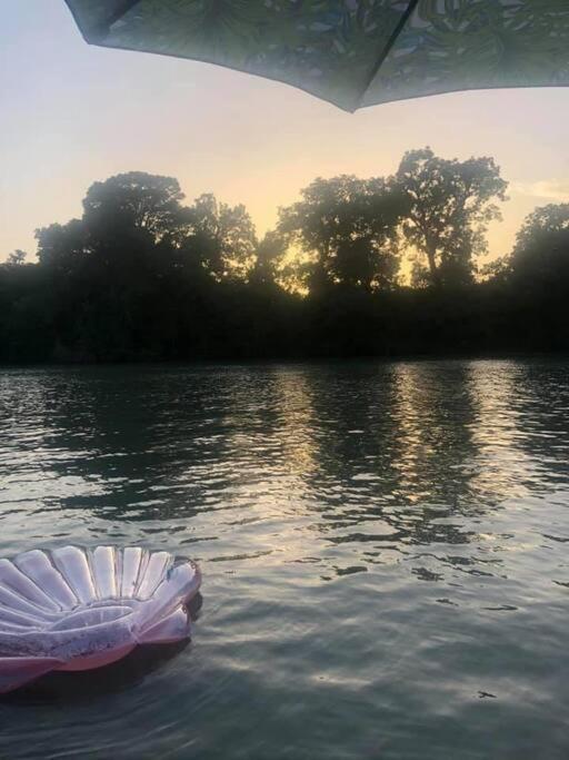 סגווין The River Haven - Sleeps 32 - On Guadalupe River מראה חיצוני תמונה